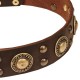 Amazing Decorative Leather Dog Collar for Labrador