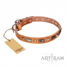 "Wealth Effulgence" Leather Dog Collar FDT Artisan