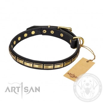 "Wealth Effulgence" Leather Dog Collar FDT Artisan