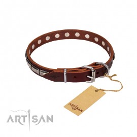 Original Leather Dog Collar with beautiful Studs by FDT Artisan