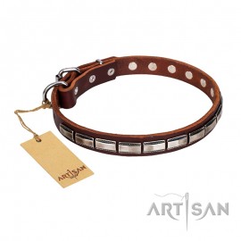 Original Leather Dog Collar with beautiful Studs by FDT Artisan