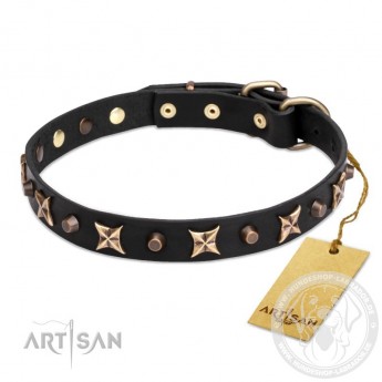 Chic Leather Dog Collar "Four Cornered Stars" by FDT Artisan