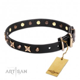 Chic Leather Dog Collar "Four Cornered Stars" by FDT Artisan