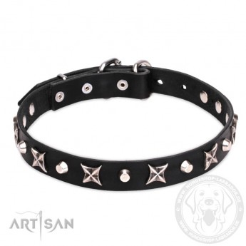 Chic Leather Dog Collar "Four Cornered Stars" by FDT Artisan