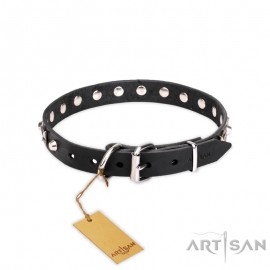 "Blazing Stars" exklusives Hundehalsband Leder mit Sterne und Pyramiden