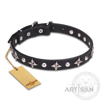 "Pleiades" exclusiv  Leather Dog Collar with Stars and Studs
