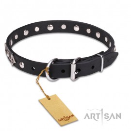 "Pleiades" exclusiv  Leather Dog Collar with Stars and Studs