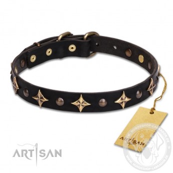 "Milky Way" exclusiv  Leather Dog Collar with Stars and Studs