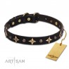 "Milky Way" exclusiv  Leather Dog Collar with Stars and Studs