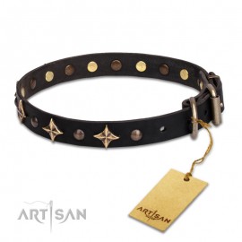 "Milky Way" exclusiv  Leather Dog Collar with Stars and Studs