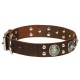 Studded Leather Dog Collar with Silver-Like Adornment