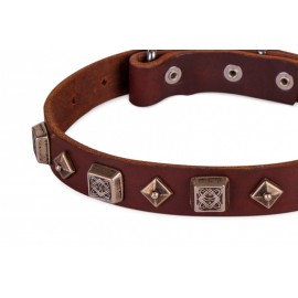 Herrliches Hundehalsband Leder von FDT Artisan