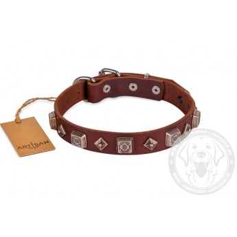 Herrliches Hundehalsband Leder von FDT Artisan