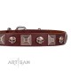 FDT Artisan "Pirat" Leather Dog Collar 25 mm