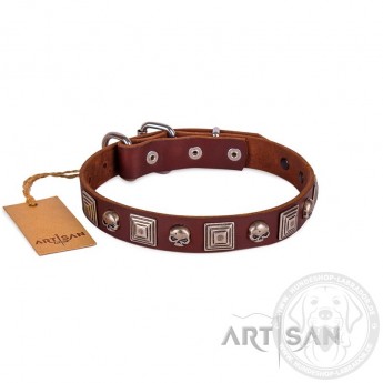 FDT Artisan "Pirat" Leather Dog Collar 25 mm