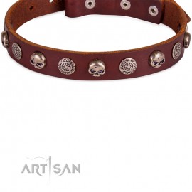 FDT Artisan "Pirat" Leather Dog Collar 25 mm