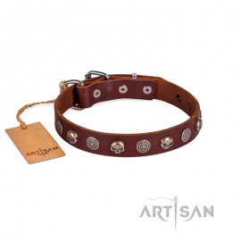 FDT Artisan "Pirat" Leather Dog Collar 25 mm