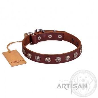 FDT Artisan "Pirat" Leather Dog Collar 25 mm