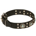 Labrador Collar with Azure Stones and Silvery Decor