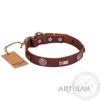 FDT Artisan Plates and Circles Leather Dog Collar