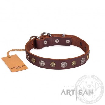 FDT Artisan Plates and Circles Leather Dog Collar