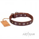 FDT Artisan Plates and Circles Leather Dog Collar