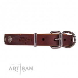 Ledernes Hundehalsband mit runden Platten von FDT Artisan