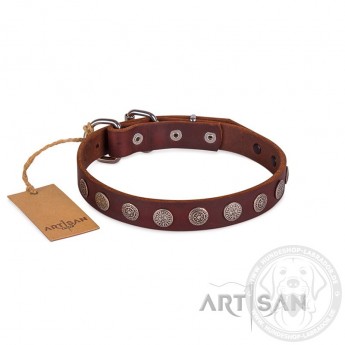 Ledernes Hundehalsband mit runden Platten von FDT Artisan