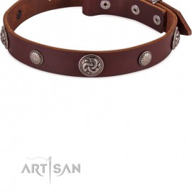 FDT Artisan exklusives Labrador Lederhalsband mit runden Mix-Nieten