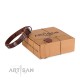 FDT Artisan exklusives Labrador Lederhalsband mit runden Mix-Nieten