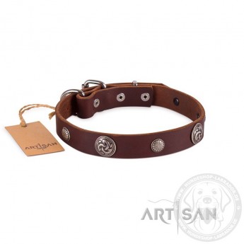 FDT Artisan exklusives Labrador Lederhalsband mit runden Mix-Nieten