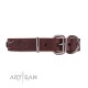 Ledernes Hundehalsband von FDT Artisan mit Sterne und Platten