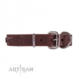 Ledernes Hundehalsband von FDT Artisan mit Sterne und Platten