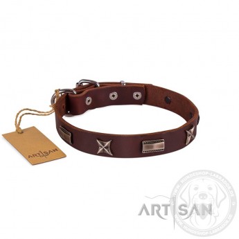 Ledernes Hundehalsband von FDT Artisan mit Sterne und Platten