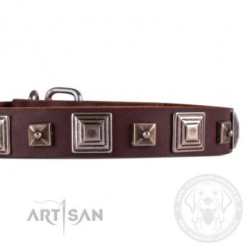  FDT Artisan Halsband aus Leder mit quadratischen Nieten  für Labrador