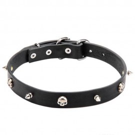 Leather Dog Collar with Row of Nickel Spikes and Skulls