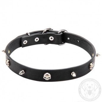 Leather Dog Collar with Row of Nickel Spikes and Skulls