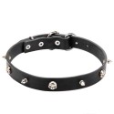 Leather Labrador Collar with Skulls and Spikes