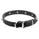 Leather Dog Collar with Row of Nickel Spikes and Skulls