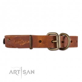  Platten und Rundnieten Designer Lederhalsband von FDT Artisan 25 mm