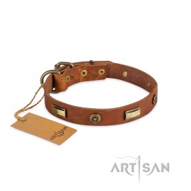 Platten und Rundnieten Designer Lederhalsband von FDT Artisan 25 mm