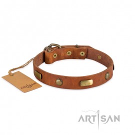  FDT Artisan Plattes and Flowers Leather Dog Collar for Labrador