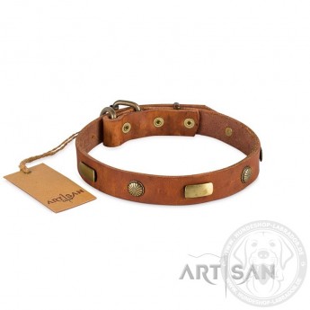  FDT Artisan Plattes and Flowers Leather Dog Collar for Labrador