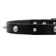 Leather Dog Collar with Row of Nickel Spikes and Skulls