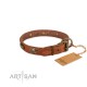 Labrador ledernes Halsband von FDT Artsin mit Platten und massiven runden Nieten