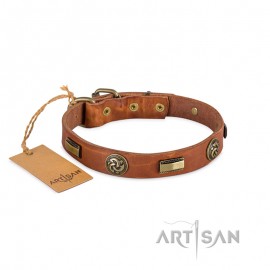 Labrador ledernes Halsband von FDT Artsin mit Platten und massiven runden Nieten