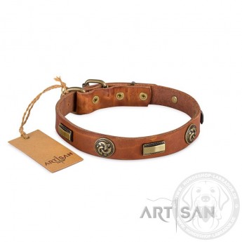  FDT Artisan Plattes and Flowers Leather Dog Collar for Labrador