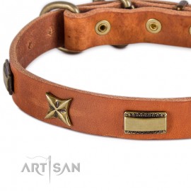  Sterne+Platten Mix Lederhalsband für Labrador von FDT Artisan