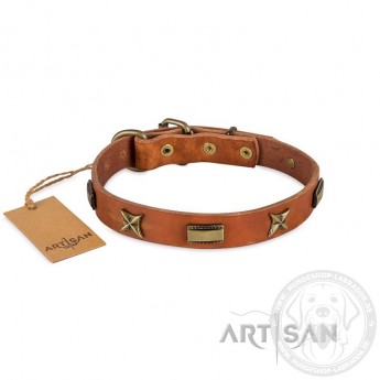  Sterne+Platten Mix Lederhalsband für Labrador von FDT Artisan