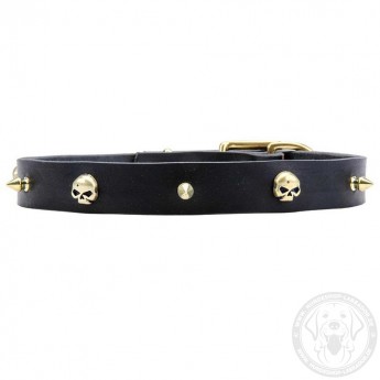 Leather Dog Collar with Row of Brass Spikes and Skulls